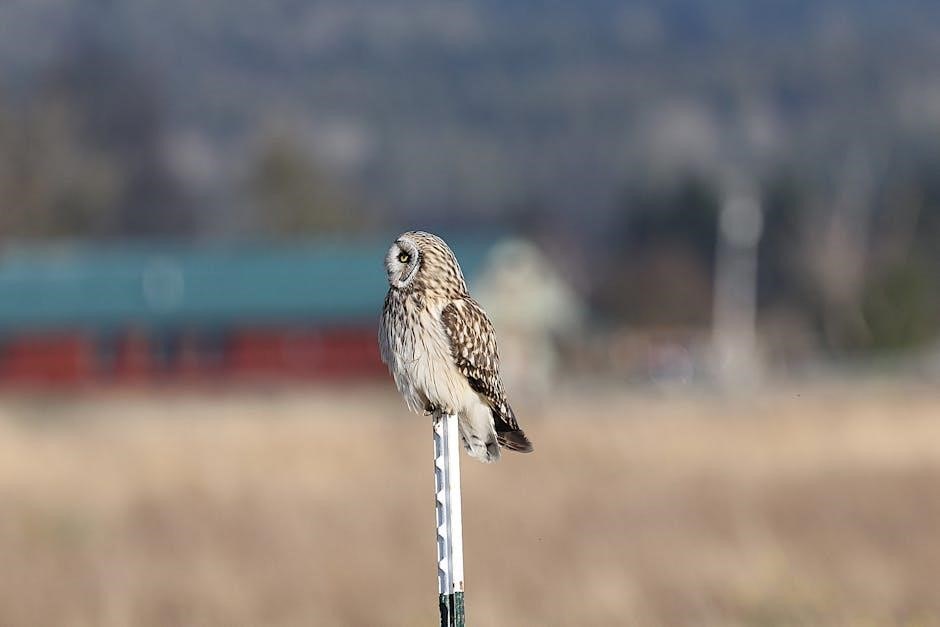 guide pole
