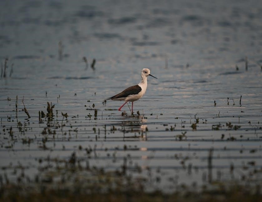 the return of the gods jonathan cahn pdf free download