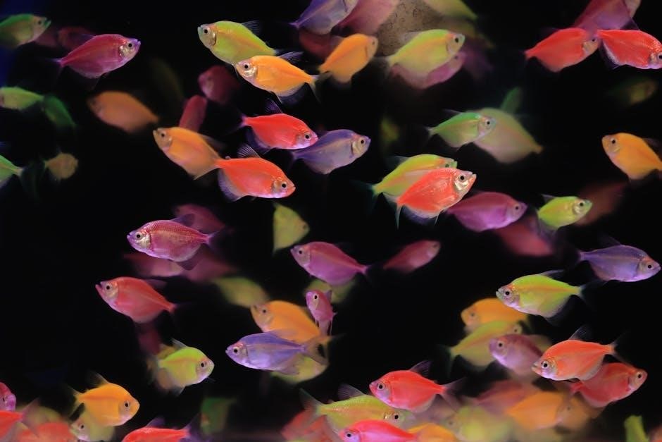 hygger 24/7 aquarium light instructions